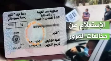 رابط مباشر.. كيفية الاستعلام عن المخالفات المرورية برقم السيارة بسهولة وبدون تعقيد